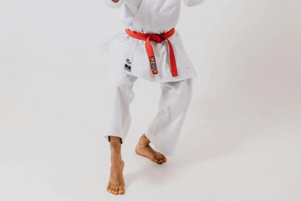 Importancia de Neko Ashi Dachi en Karate